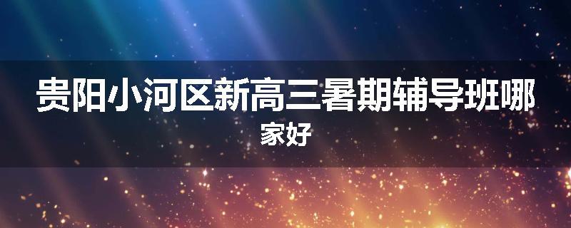 贵阳小河区新高三暑期辅导班哪家好