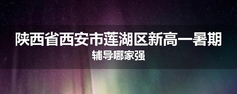 陕西省西安市莲湖区新高一暑期辅导哪家强