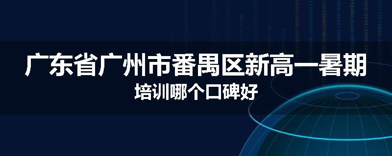 广东省广州市番禺区新高一暑期培训哪个口碑好