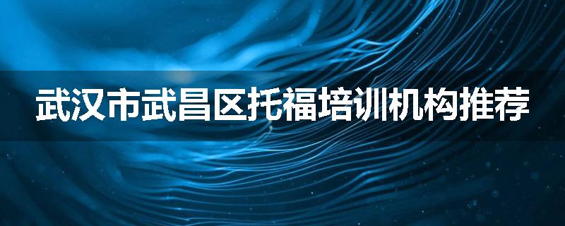 武汉市武昌区托福培训机构推荐