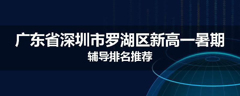 广东省深圳市罗湖区新高一暑期辅导排名推荐