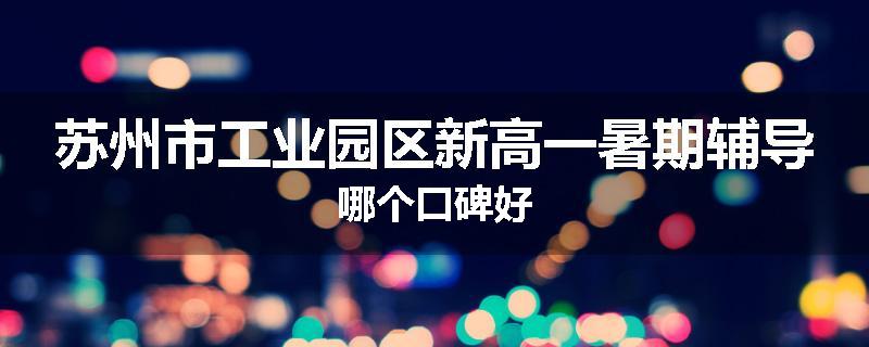 苏州市工业园区新高一暑期辅导哪个口碑好