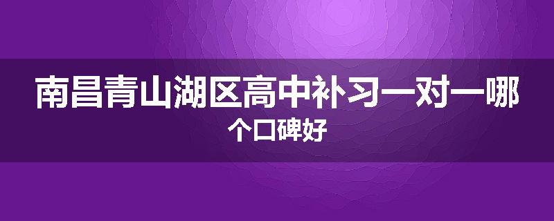 南昌青山湖区高中补习一对一哪个口碑好