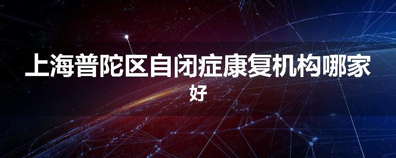 上海普陀区自闭症康复机构哪家好
