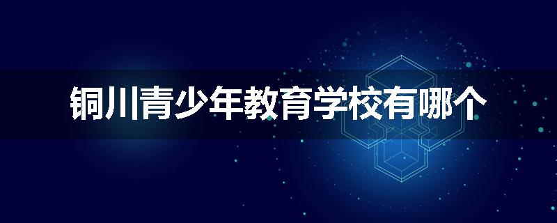 铜川青少年教育学校有哪个