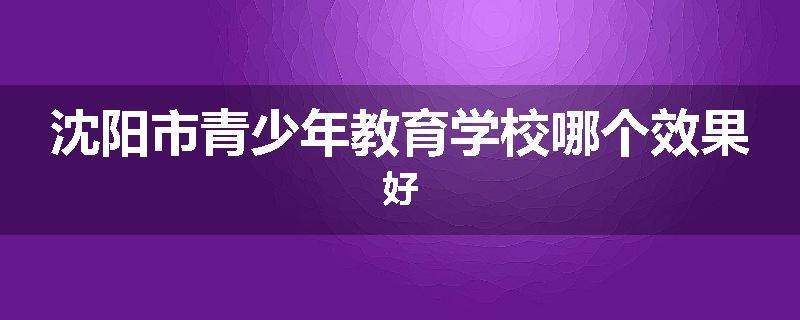 沈阳市青少年教育学校哪个效果好