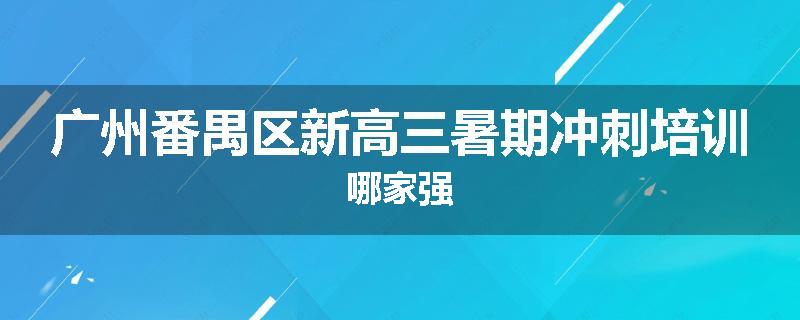 广州番禺区新高三暑期冲刺培训哪家强
