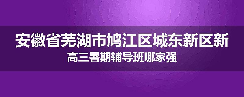 安徽省芜湖市鸠江区城东新区新高三暑期辅导班哪家强