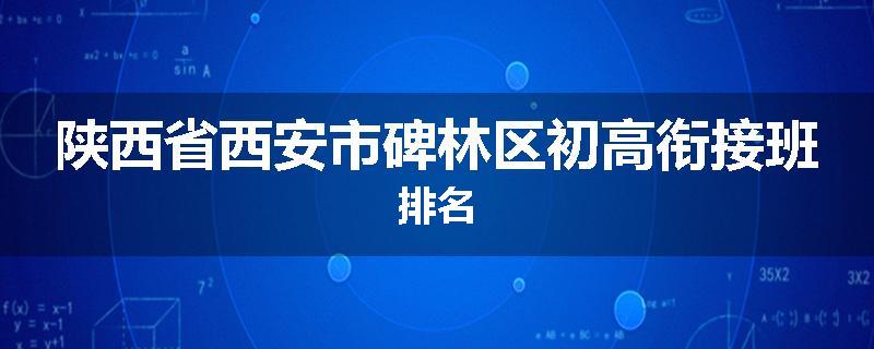 陕西省西安市碑林区初高衔接班排名