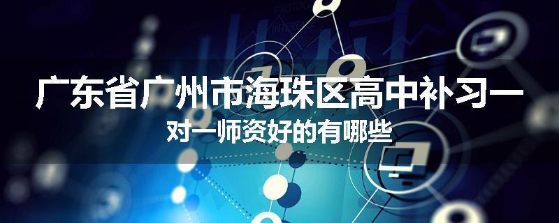 广东省广州市海珠区高中补习一对一师资好的有哪些