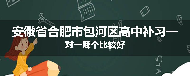 安徽省合肥市包河区高中补习一对一哪个比较好