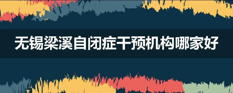 无锡梁溪自闭症干预机构哪家好