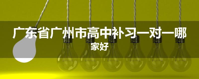 广东省广州市高中补习一对一哪家好