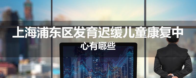 上海浦东区发育迟缓儿童康复中心有哪些