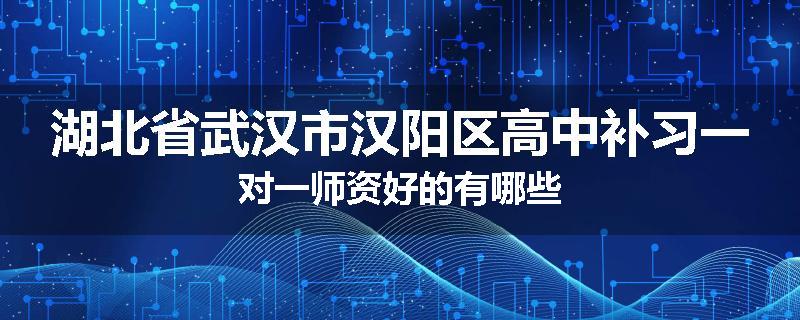 湖北省武汉市汉阳区高中补习一对一师资好的有哪些