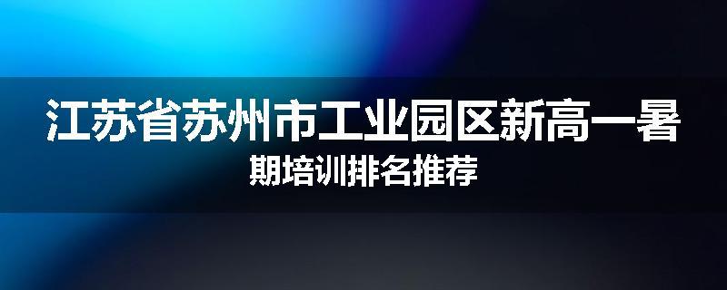 江苏省苏州市工业园区新高一暑期培训排名推荐
