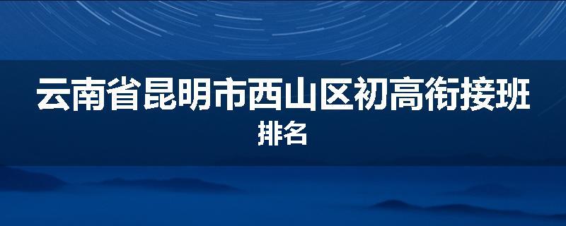 云南省昆明市西山区初高衔接班排名