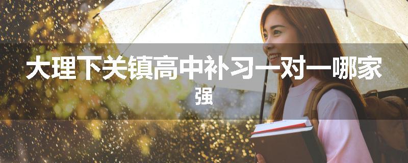 大理下关镇高中补习一对一哪家强