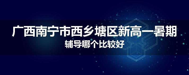 广西南宁市西乡塘区新高一暑期辅导哪个比较好