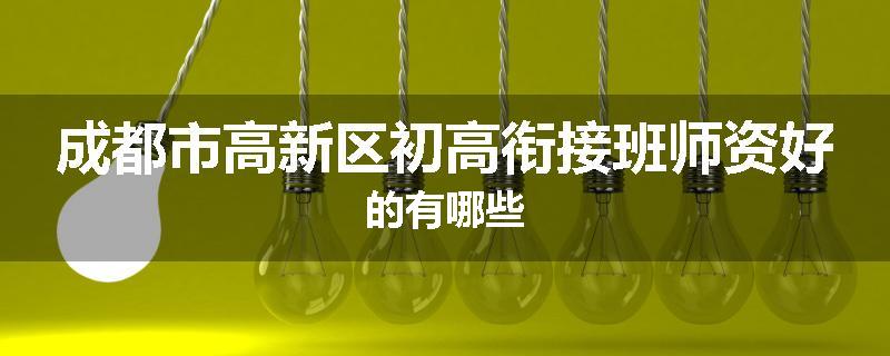 成都市高新区初高衔接班师资好的有哪些