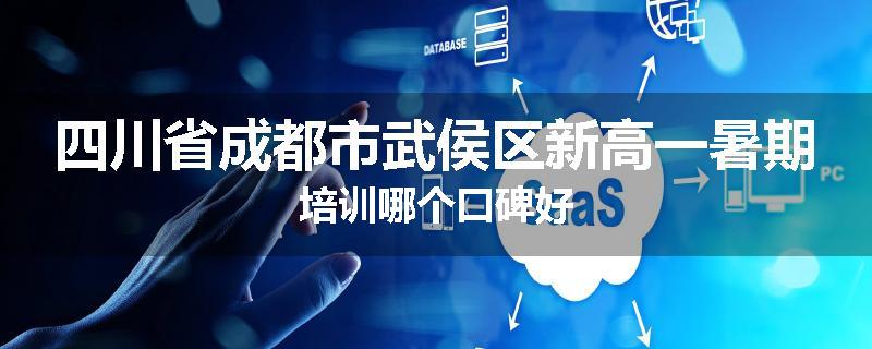 四川省成都市武侯区新高一暑期培训哪个口碑好