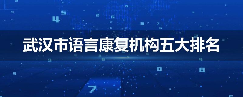 武汉市语言康复机构五大排名