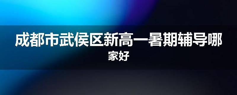 成都市武侯区新高一暑期辅导哪家好