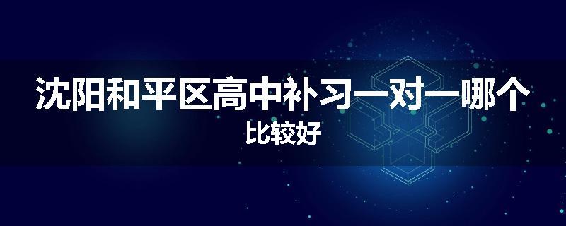 沈阳和平区高中补习一对一哪个比较好
