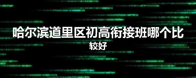 哈尔滨道里区初高衔接班哪个比较好