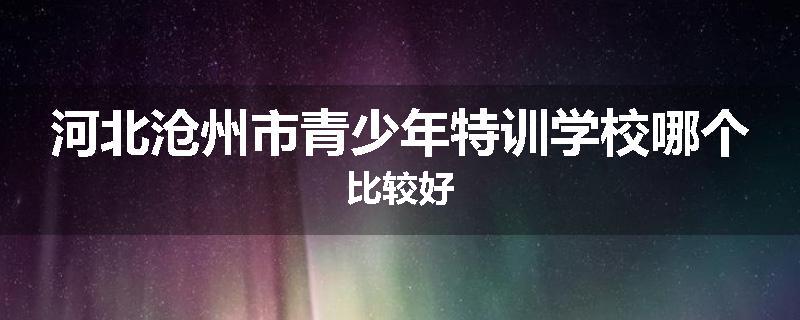 河北沧州市青少年特训学校哪个比较好