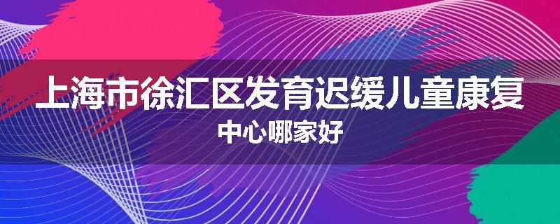上海市徐汇区发育迟缓儿童康复中心哪家好