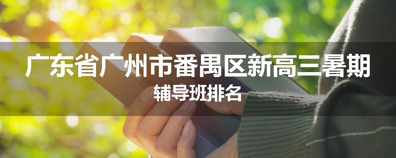 广东省广州市番禺区新高三暑期辅导班排名