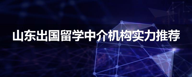 山东出国留学中介机构实力推荐