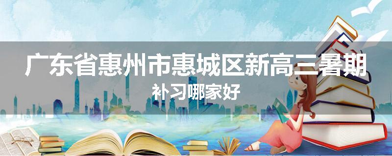 广东省惠州市惠城区新高三暑期补习哪家好
