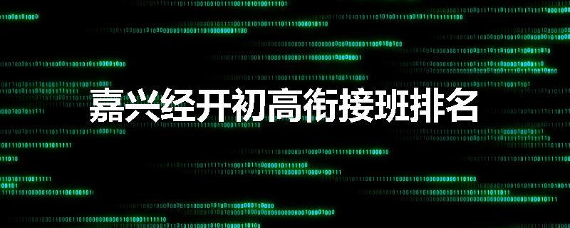 嘉兴经开初高衔接班排名
