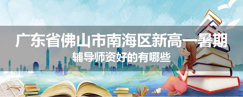 广东省佛山市南海区新高一暑期辅导师资好的有哪些