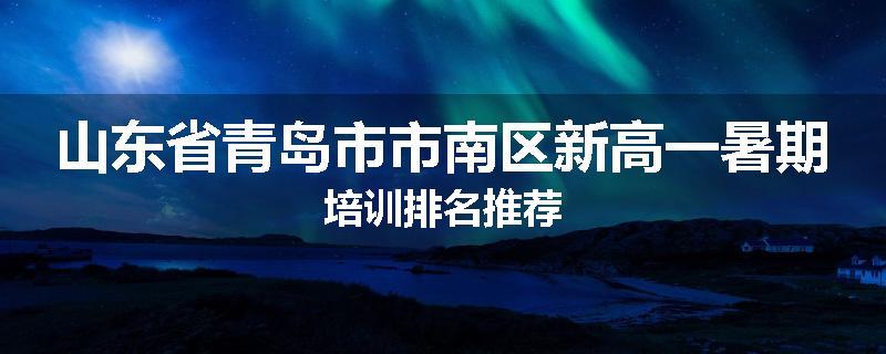 山东省青岛市市南区新高一暑期培训排名推荐