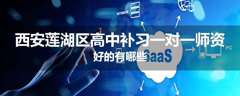 西安莲湖区高中补习一对一师资好的有哪些