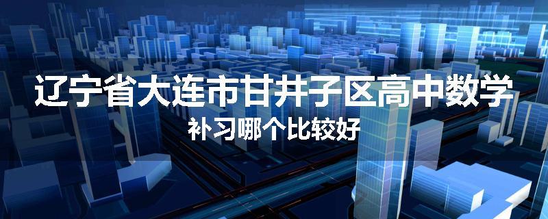 辽宁省大连市甘井子区高中数学补习哪个比较好