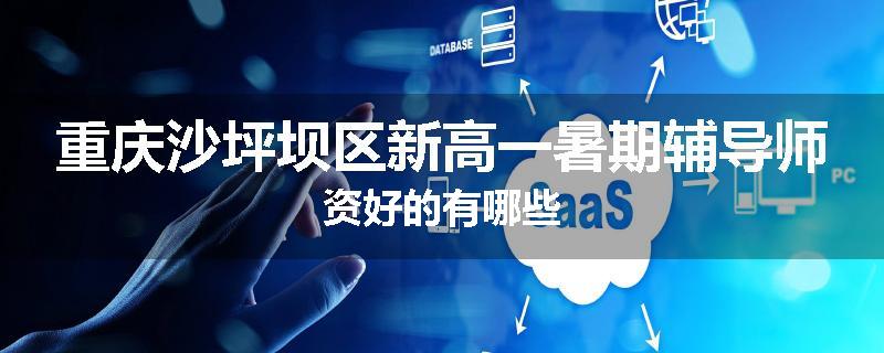 重庆沙坪坝区新高一暑期辅导师资好的有哪些