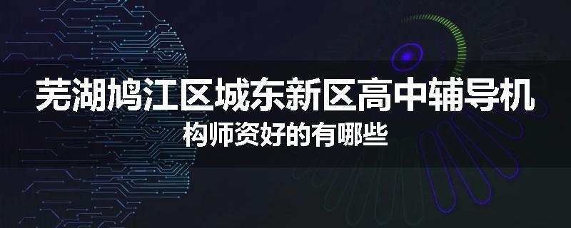 芜湖鸠江区城东新区高中辅导机构师资好的有哪些