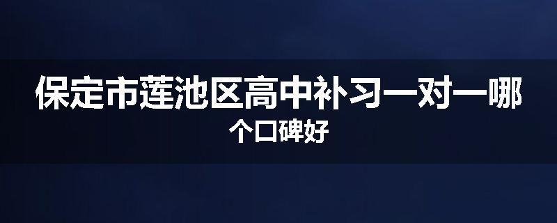 保定市莲池区高中补习一对一哪个口碑好