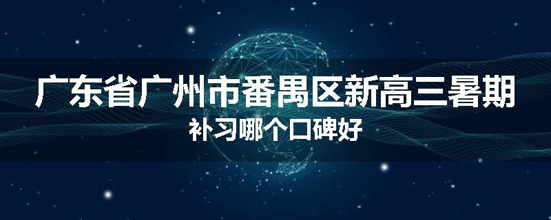 广东省广州市番禺区新高三暑期补习哪个口碑好