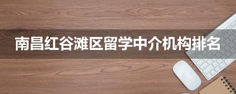 南昌红谷滩区留学中介机构排名