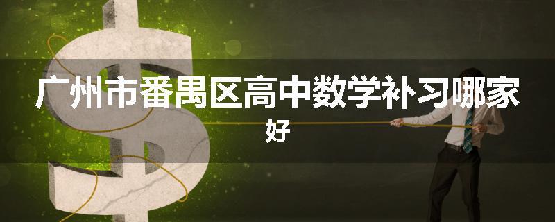 广州市番禺区高中数学补习哪家好