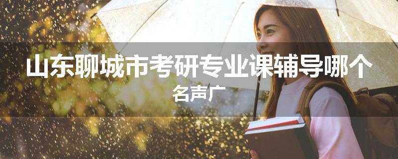 山东聊城市考研专业课辅导哪个名声广