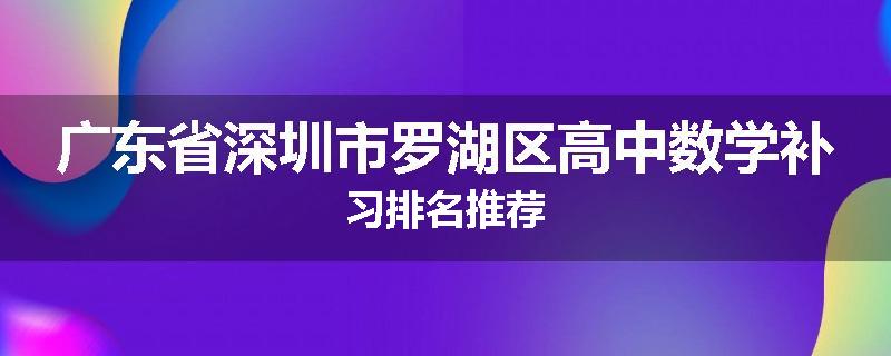 广东省深圳市罗湖区高中数学补习排名推荐