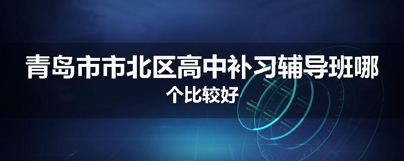 青岛市市北区高中补习辅导班哪个比较好
