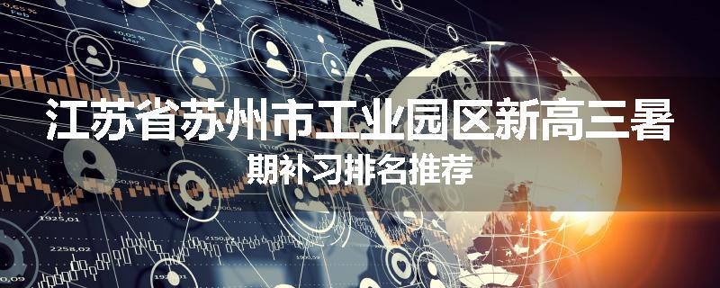 江苏省苏州市工业园区新高三暑期补习排名推荐