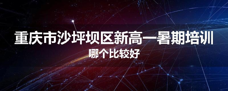 重庆市沙坪坝区新高一暑期培训哪个比较好